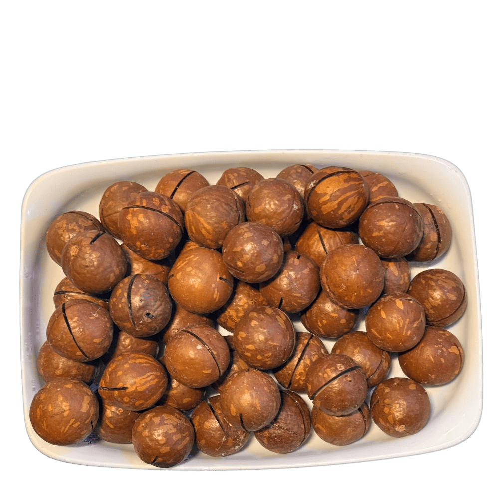 Macadamia walnuts (چابی والی اخروٹ)