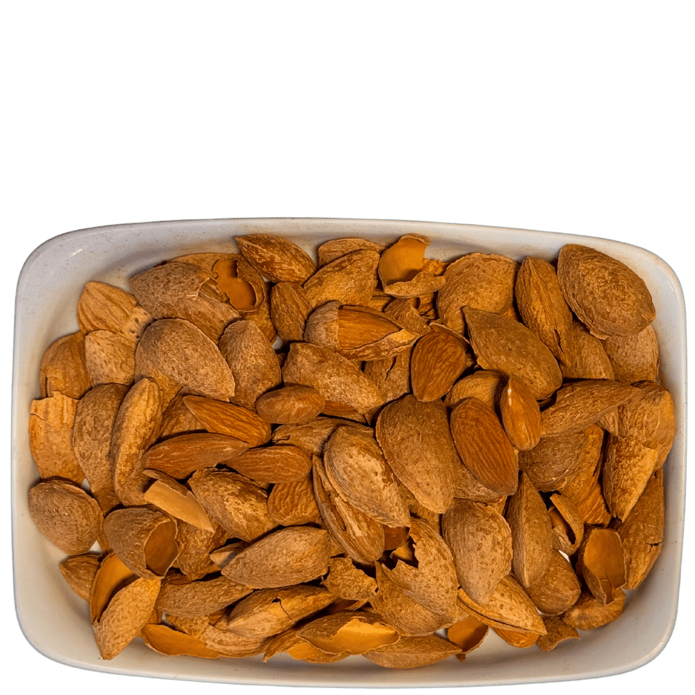 Badam Kaghzi (American) No.1 بادام کاغذی (امریکن)