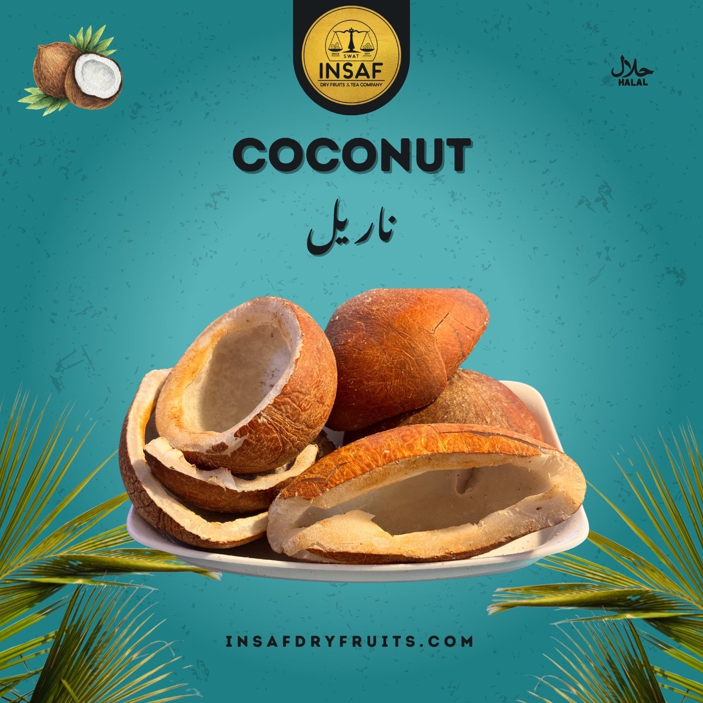 Coconut (ناریل)