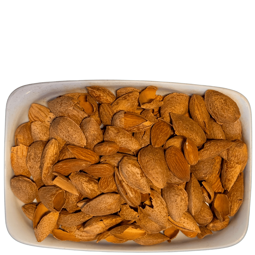 Badam Kaghzi American (بادام کاغزی)